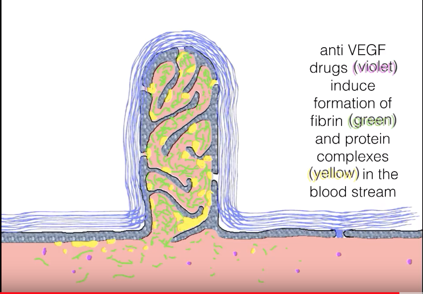 What is the mode of action of anti-vascular endothelial growth factor ...