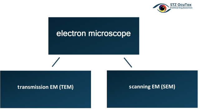 types of Electron Microscope